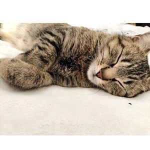 Meet your Posher, Jasmine